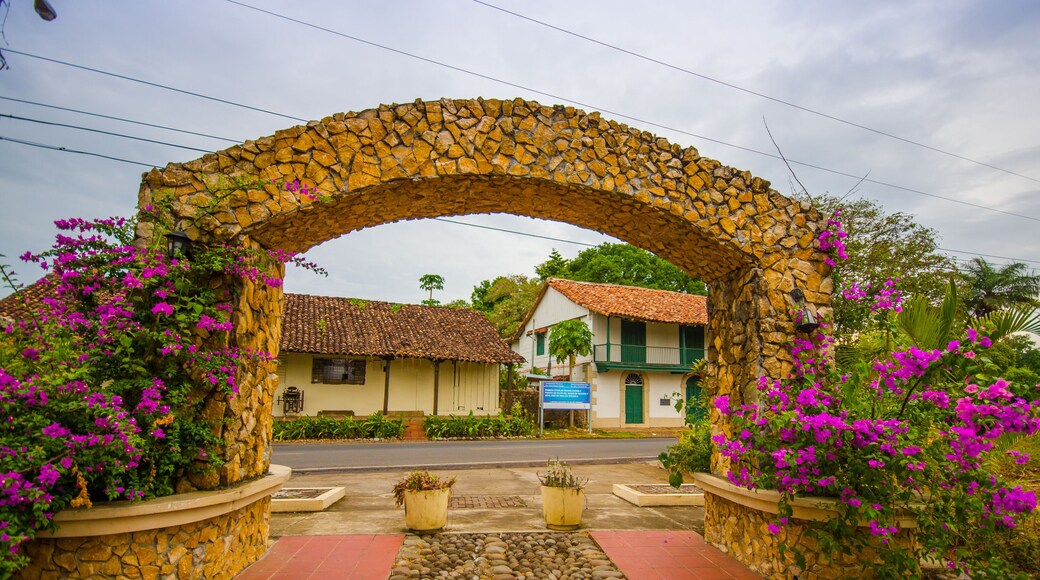 San José de David is a city and corregimiento located in the west of Panama. It is the capital of the province of Chiriquí.