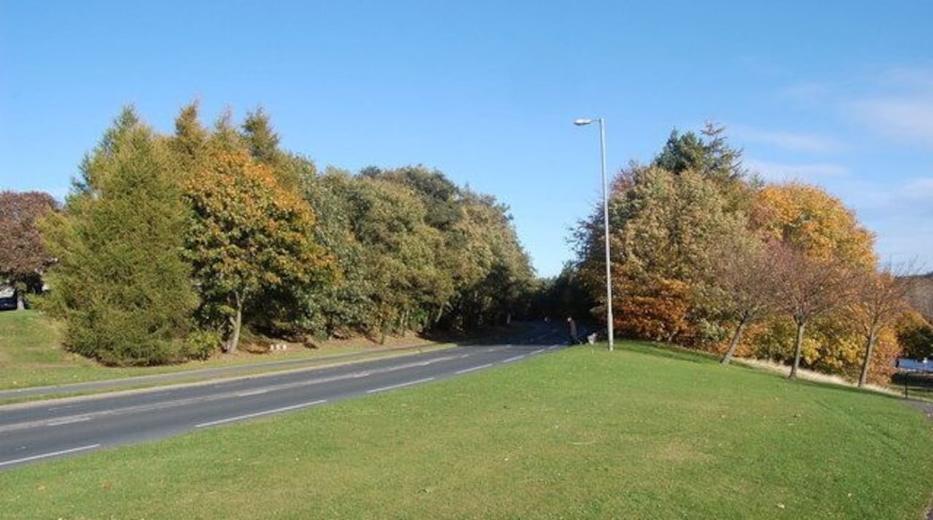 Riverview Drive, Dyce