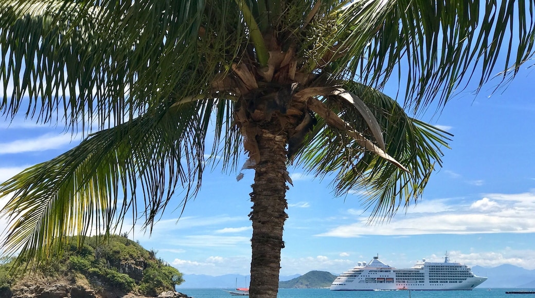 The beach and around it