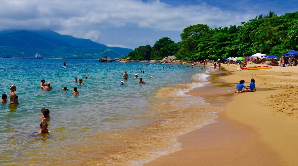 Praia do Julião in Ilhabela is a magical and gorgeous place for families and people who love snorkeling and diving. Near the rocks, there are many species of fishes and sea-life which usually thrill underwater photography lovers. Besides, it is another example used by many - if not most - proud Paulistas to prove what is obvious: that São Paulo's northern coast beaches are much more beautiful than any in neighbouring state of Rio de Janeiro.
#waterlust #colorful
See more in www.flickr.com/ddfcarvalho