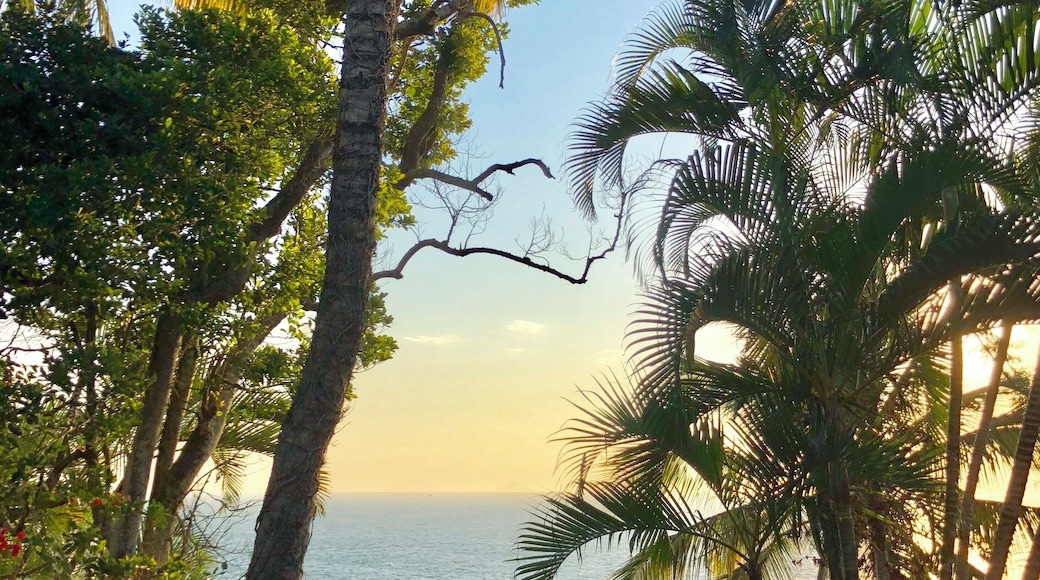 Uma Ilha romântica, esportiva, movimentada na medida certa.
Varias praias para praticar mergulho, kite surf, pescar ...