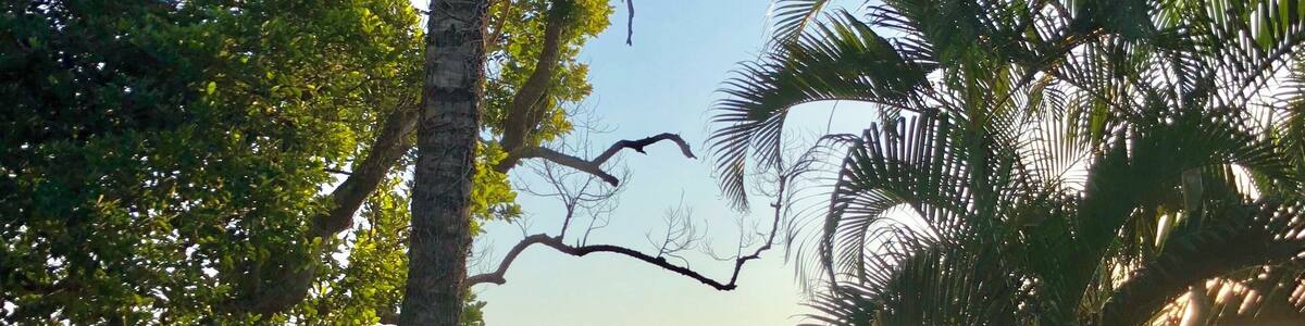 Uma Ilha romântica, esportiva, movimentada na medida certa.
Varias praias para praticar mergulho, kite surf, pescar ...