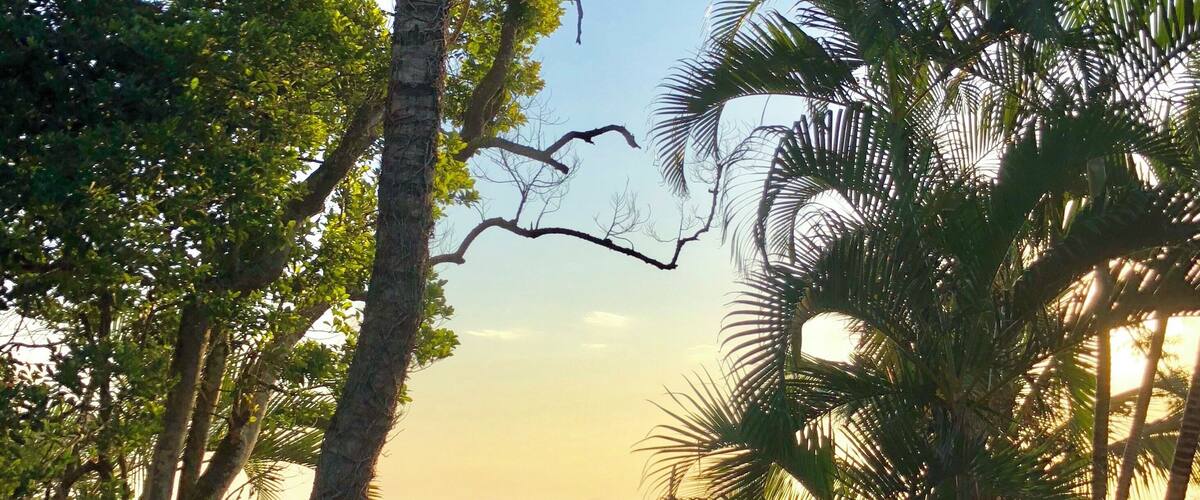 Uma Ilha romântica, esportiva, movimentada na medida certa.
Varias praias para praticar mergulho, kite surf, pescar ...