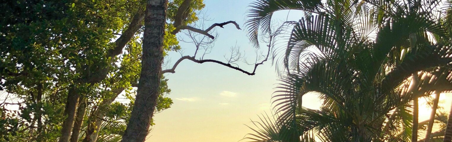 Uma Ilha romântica, esportiva, movimentada na medida certa.
Varias praias para praticar mergulho, kite surf, pescar ...