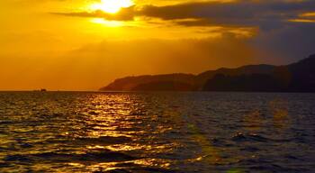 The northern coast of the state of São Paulo, Brazil, is certainly too underestimated when it comes to beaches. Many - maybe most - proud paulistas often disdain the beaches in in the neighbour state of Rio de Janeiro and strongly believe that São Paulo's beaches to be more beautiful than those in Rio. In fact, they are right! You can verify it, for example, when you're on the ferry that links the cities of São Sebastião and Ilhabela.
#GoldenHour #waterlust #colorful
See: www.flickr.com/ddfcarvalho