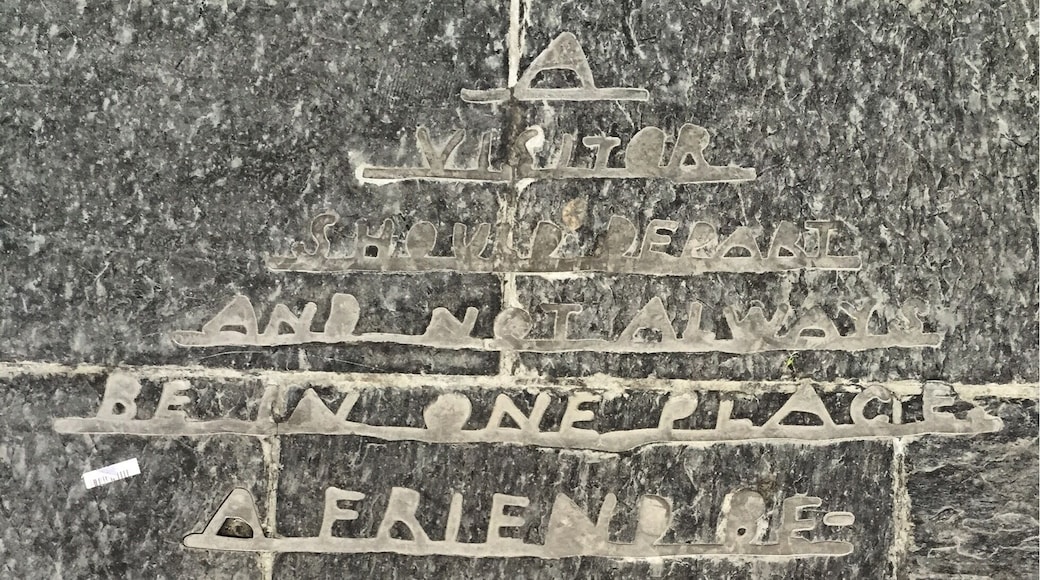 A visitor should depart and not always be in one place. A friend becomes a nuisance if he stays too long in the house of another.
I found this on the platform of the train station at the airport.