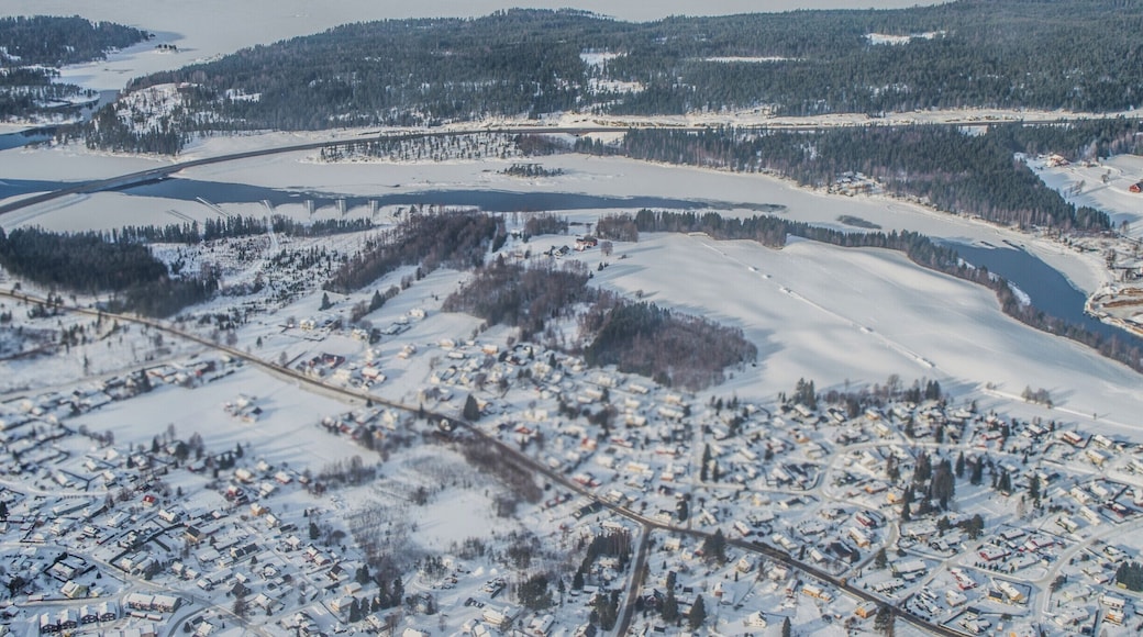 The view from the flight window while it was landing in Oslo airport. Actually, I can introduce it as #snow from a different point of view. Having a window seat always gives you the chance to have some cool aerial photographs to your collection.