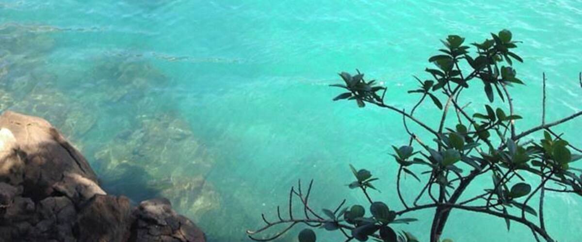 #LifeAtExpedia
#Trindade have beautiful beaches, sometimes some wild animals! Amazing!