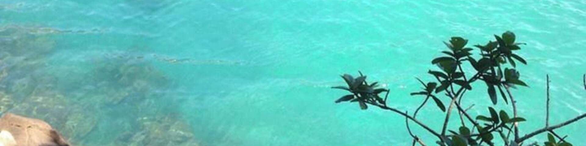 #LifeAtExpedia
#Trindade have beautiful beaches, sometimes some wild animals! Amazing!