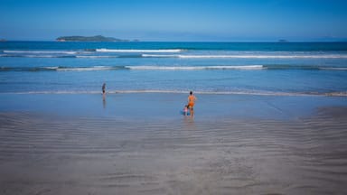 A family enjoing at Praia da Fazenda, a tourist destination within the Serra do Mar State Park in São Paulo, Brazil.