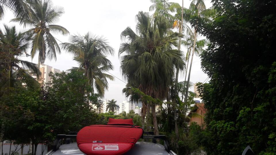 A red surfboard on a vehicle surrounded by palm trees and buildings.