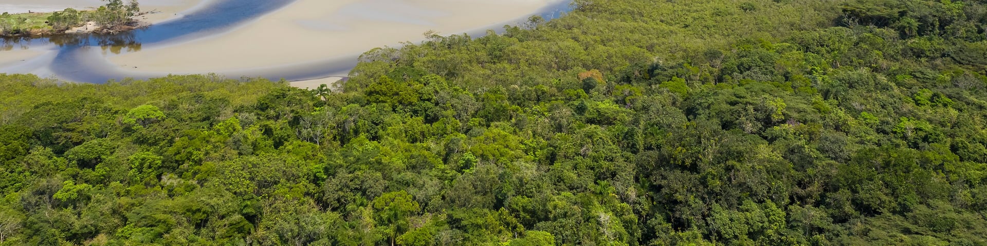 beach at Serra do Mar state park, Nucleo Picinguaba, Ubatuba, Sao Paulo, Brazil