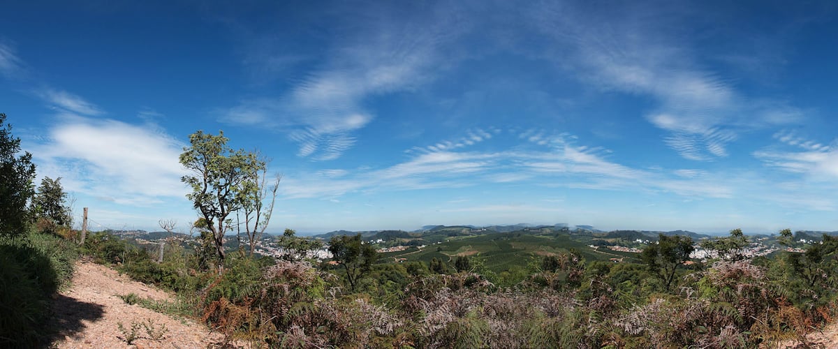 A panoramic view of a hilly landscape with a clear sky, a dirt path, and scattered trees.