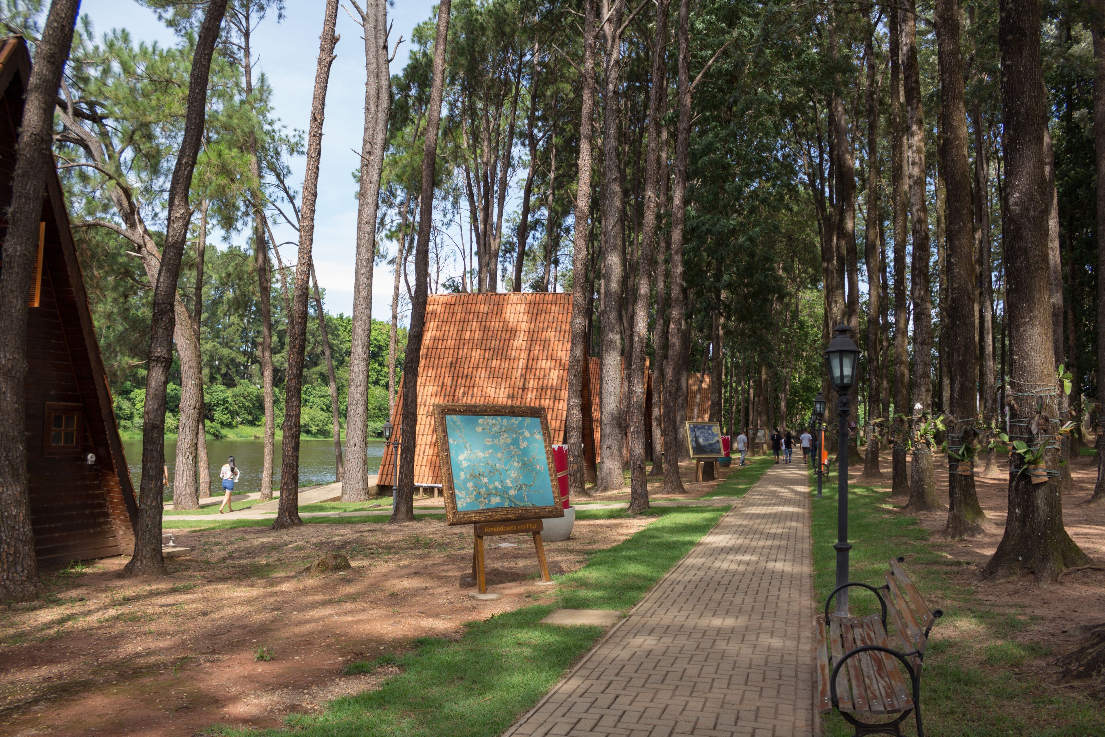 Parque Van Gogh e Lago do Holandês