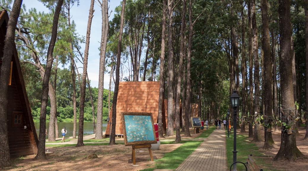 Serra Negra