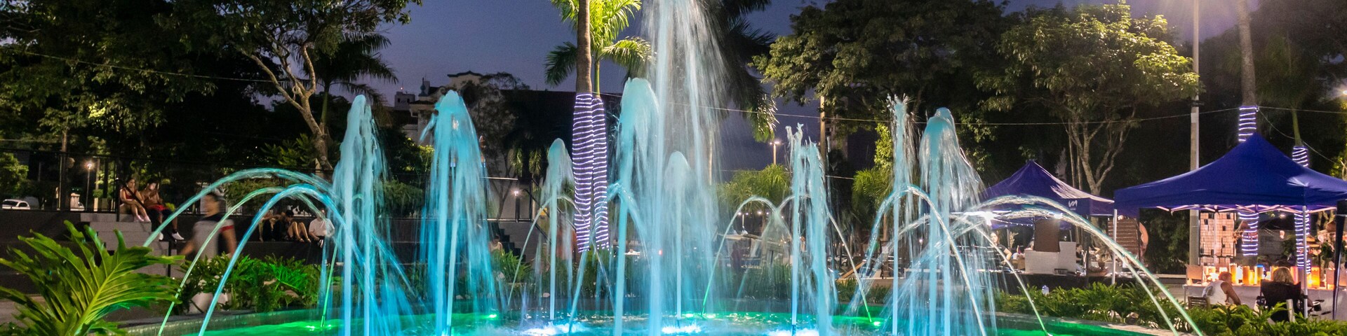 Uma fonte iluminada à noite com vários jatos de água, rodeada por vegetação e palmeiras.