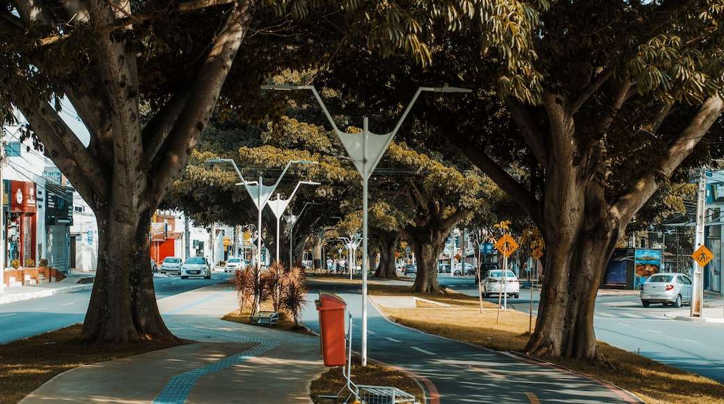 Vitoria da Conquista