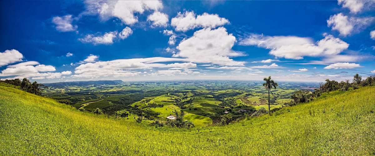 A lush green valley with rolling hills, a clear blue sky with scattered clouds, and a solitary palm tree.