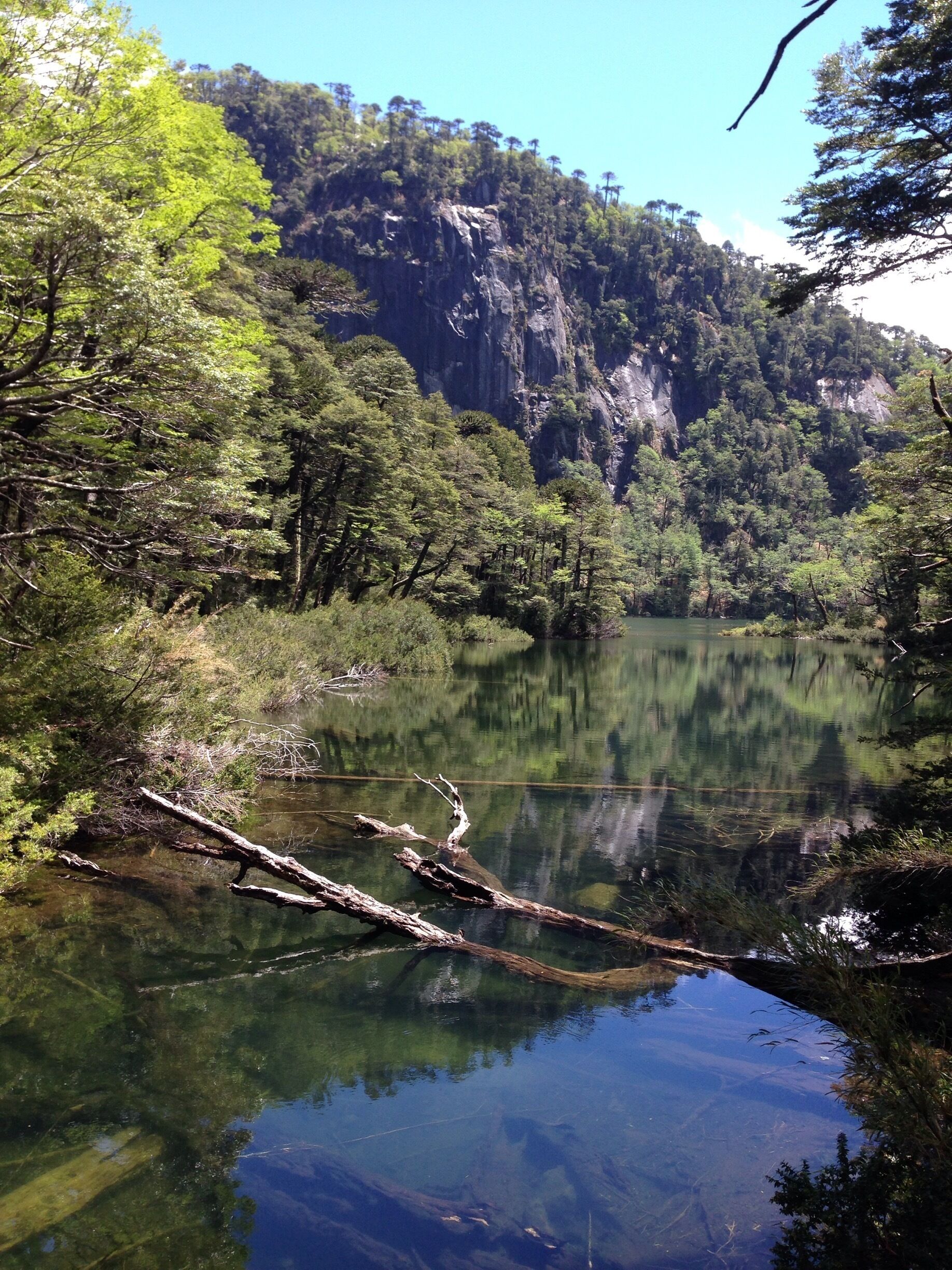 #NationalPark Huerquehue in Chile, is in the Lake District about 10 hours south of the Capital Santiago. The area has plenty of volcanos, national parks and lakes.