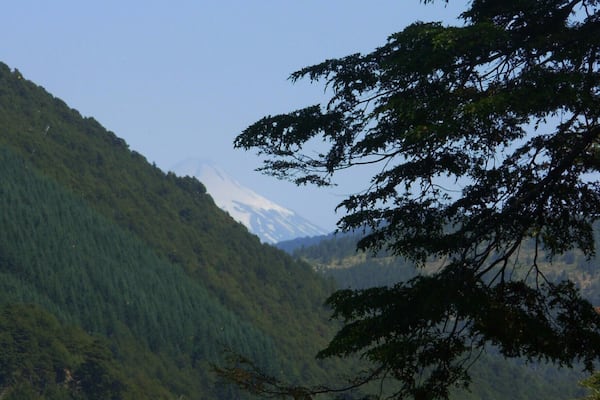 Vacaciones! #nationalpark. Por atrás el Volcán Villarrica y más cerca el Lago Tinquilco. Recomiendo camping Olga que está a 2 km desde la entrada del parque. Muy organizado, tranquilo y con su propia playa al lago.