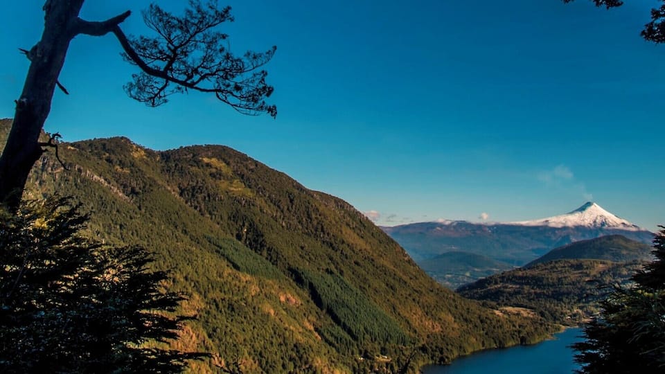 A mountainous landscape with a lake, a prominent tree, and a distant snow-capped mountain.
