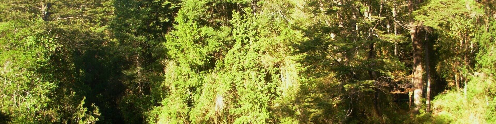 Con 33°C bañarse en el río es lo mejor.