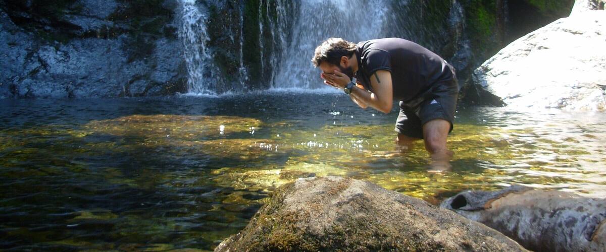 A waterfall in a forested area with clear water and rocks.