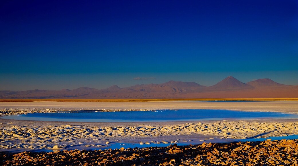 sunset @ Tebinquinche lagoon, Atacama salt flat, with the Lincancabur volcano in the back, Chile