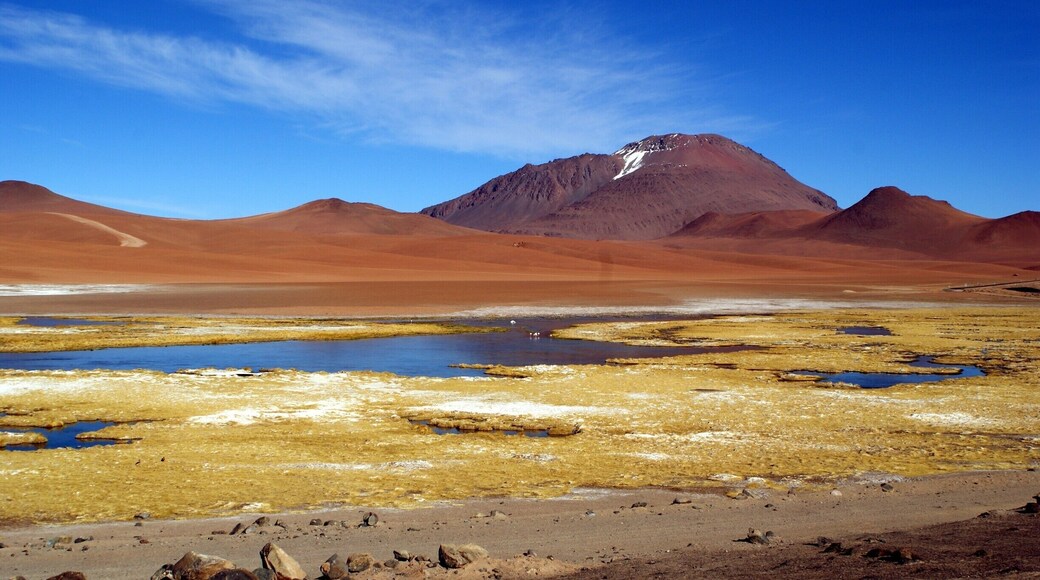 The absolutely stunning landscape of northern Chile near San Pedro de Atacama. I never knew such a seemingly barren place could be so beautiful.