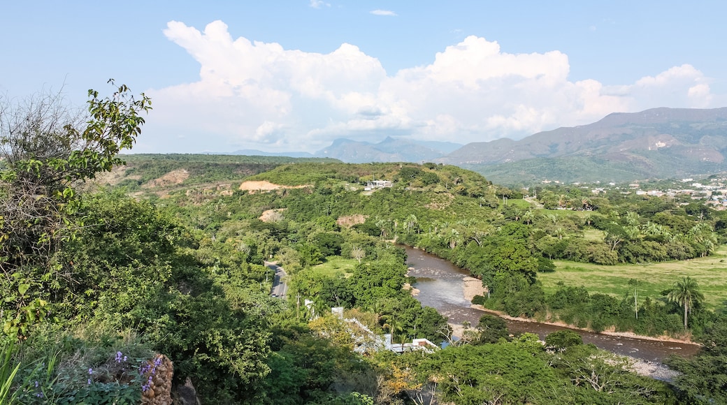 Melgar