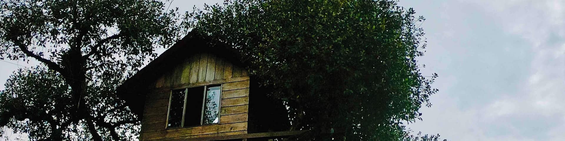 La Casa del Árbol in baños Ecuador. Stunning view and swing to the cloud. Worth it.