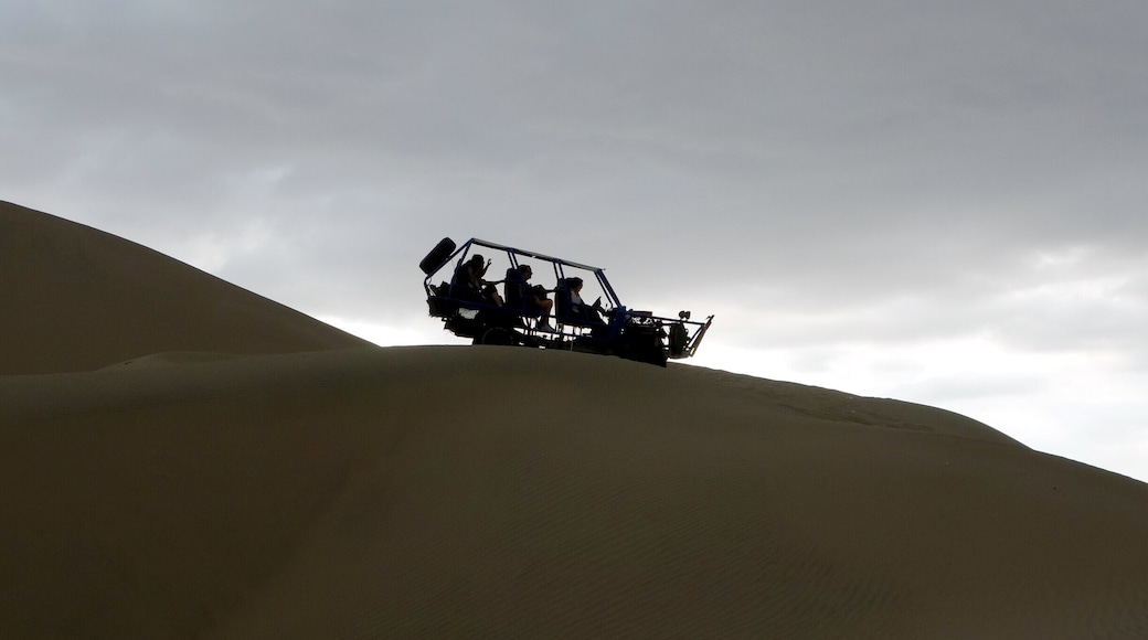 Racing in the dunes next to Ica