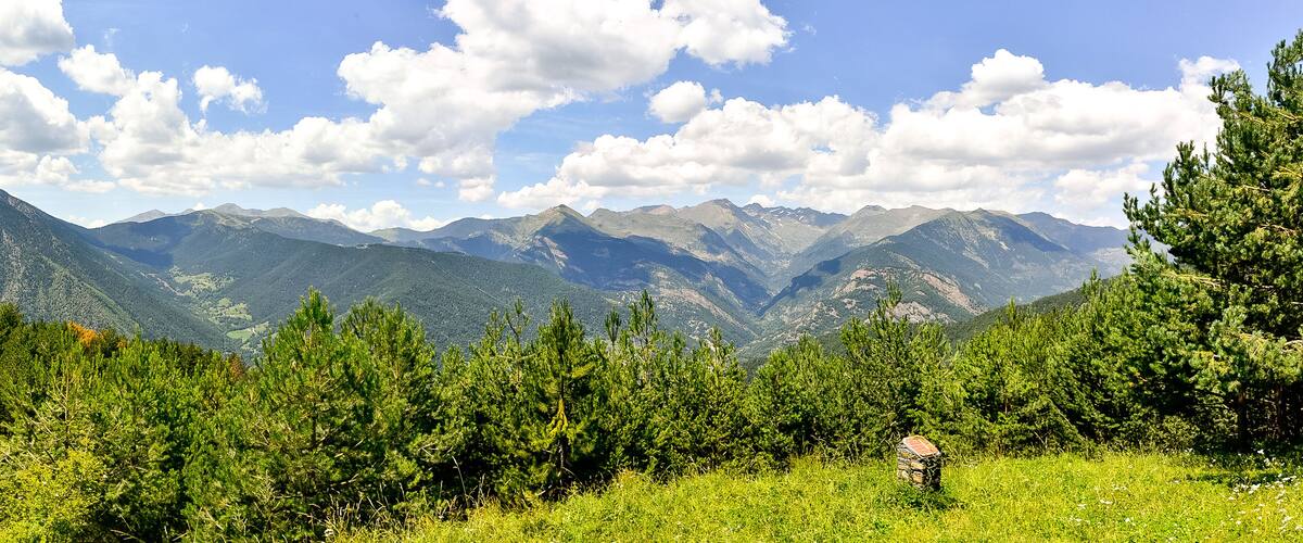 A mountainous landscape with dense green forests and a clear blue sky with scattered clouds.