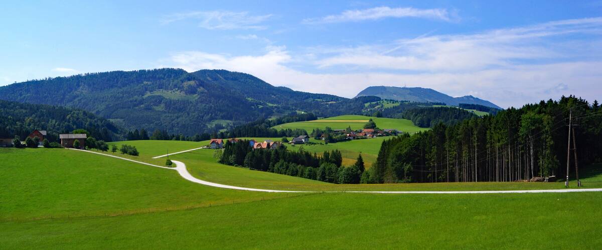 A green valley with a winding road, houses, and forested hills.