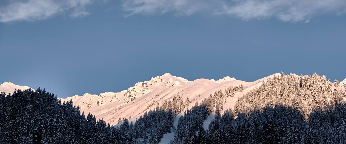 A snow-covered mountain range with dense forests at the base.