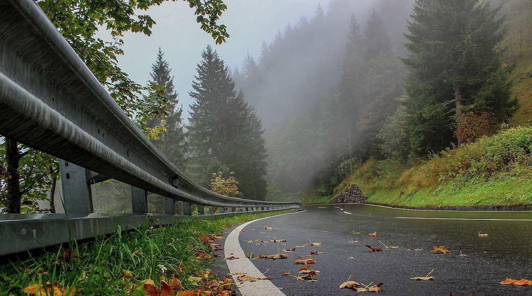 Everything was beautiful at this time.
Austria