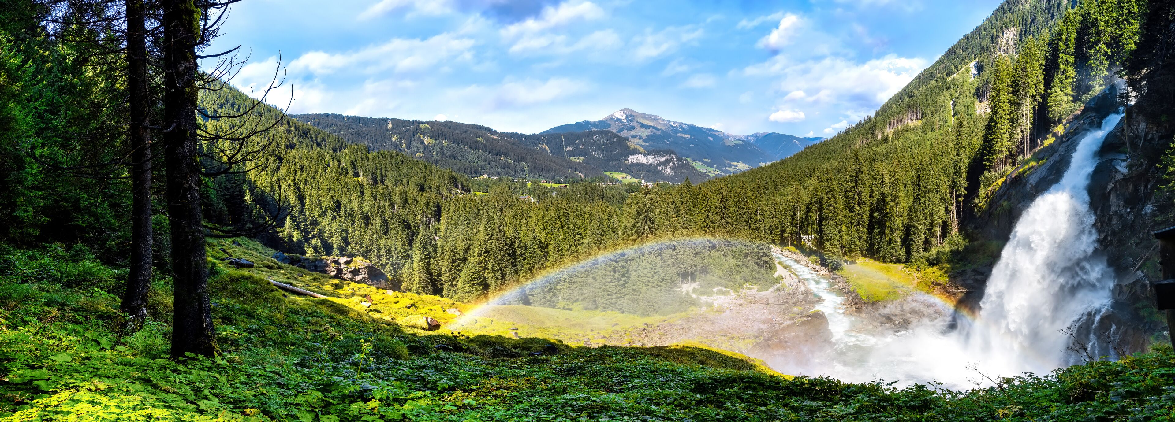 A waterfall, a forest, and a mountain range.