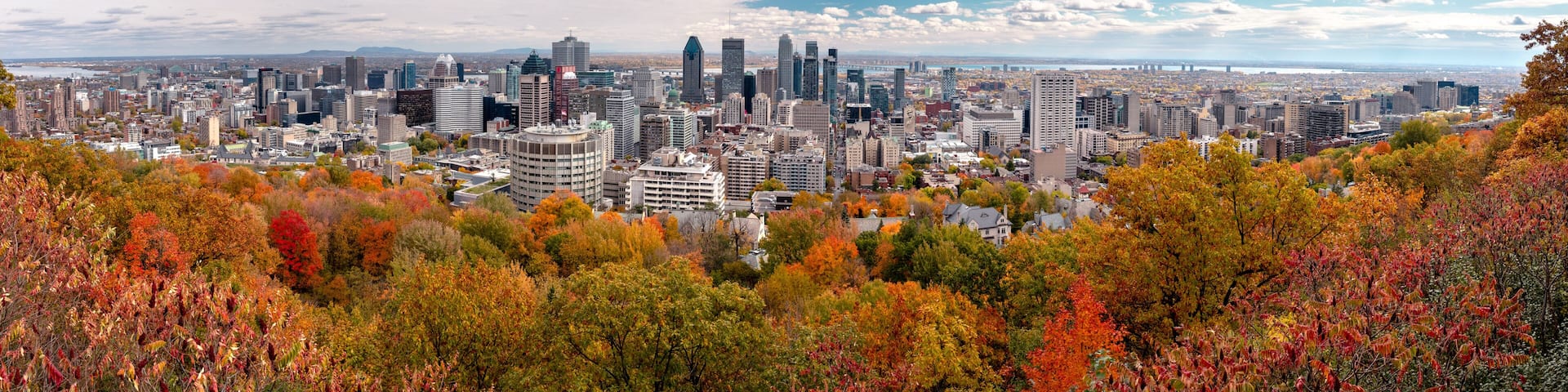 Montreal Skyline with Autumn foliage from Mont Royal Kondiaronk Belvedere