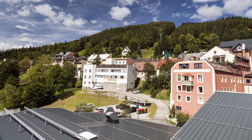 View of the city Mariazell