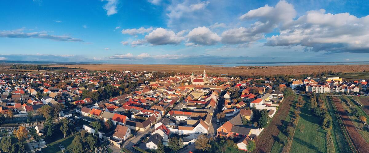 A town with red-roofed houses, a church, and fields in the background.