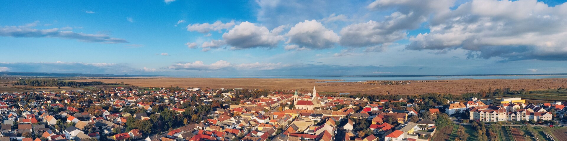 A town with red-roofed houses, a church, and fields in the background.