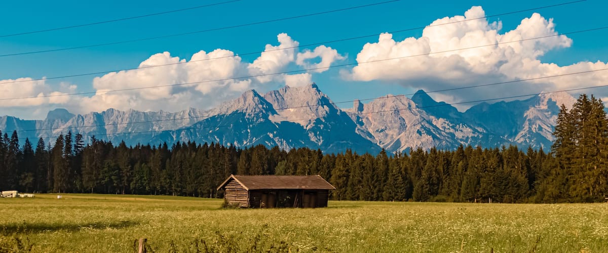 A rural landscape with a wooden cabin, a field of wildflowers, and a mountain range in the background.