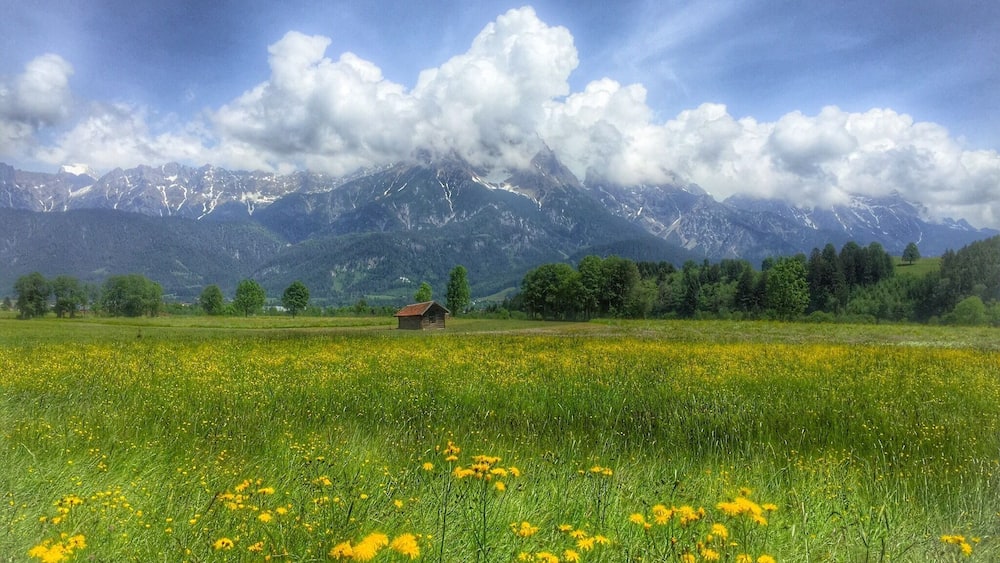 A meadow with yellow flowers, a small wooden cabin, and a mountain range in the background.