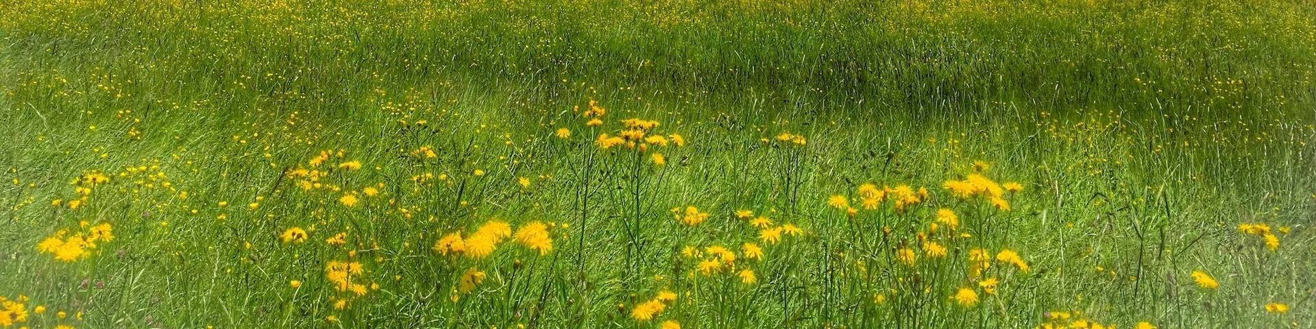 View at Steinernes Meer near Saalfelden in Salzburg,Austria