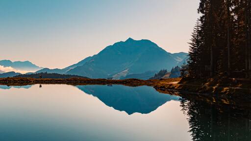 フィーバーブルン