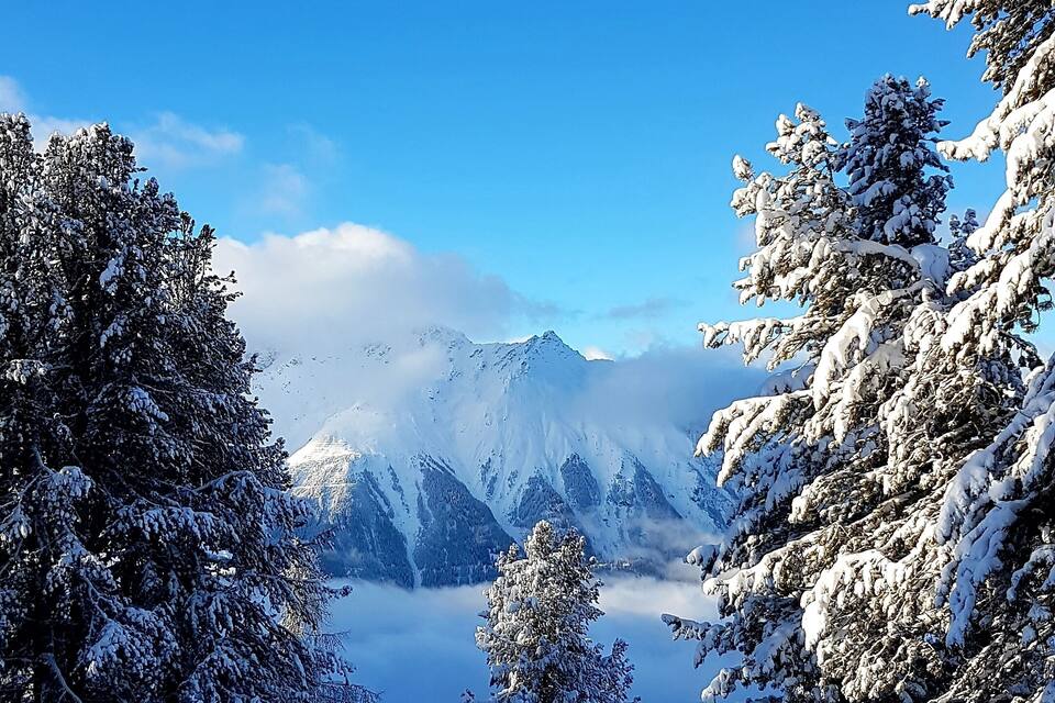 A snowy mountain landscape with evergreen trees and a clear blue sky.