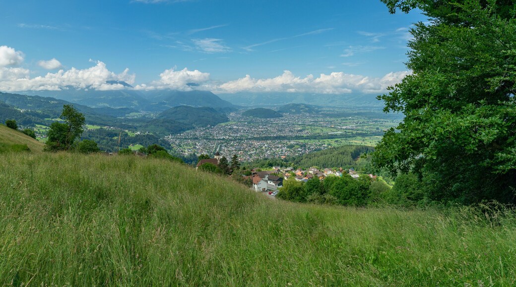 Panorama vom Rheintal bei Feldkirch, Rankweil und Dafins. sonnige Aussicht über Täler, Hügel und Berge, Wiesen und Wälder, Dörfer und Stadt. Sommer in Vorarlberg
