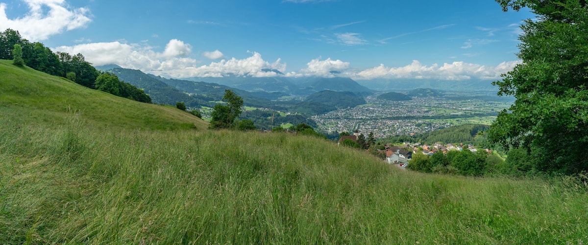 A grassy hillside with a town in the valley below, surrounded by mountains and trees.