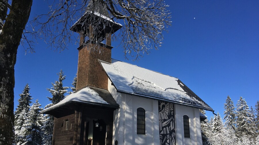 Take a mental break from a short tour through the swampy area or the ski slopes nearby. Either way, very rewarding.
https://naturvielfalt.at/schutzgebiet/fohramoos/