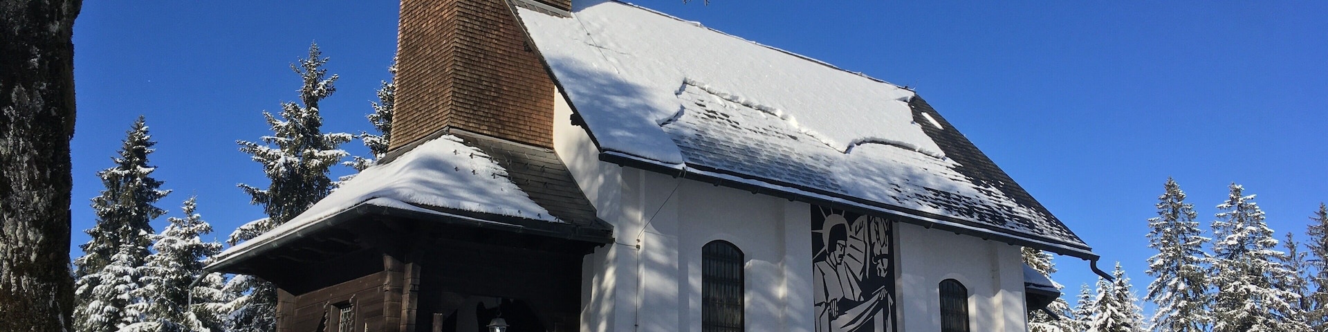 Take a mental break from a short tour through the swampy area or the ski slopes nearby. Either way, very rewarding. 
https://naturvielfalt.at/schutzgebiet/fohramoos/